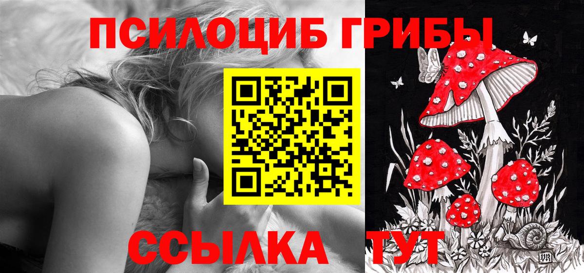 Советская Гавань  Псилоцибиновые грибы Cubensis  наркотики  Вход с VPN 